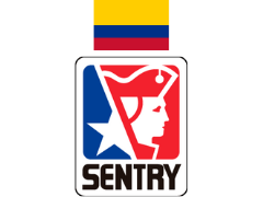 12. Home Sentry
